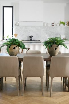 Modern home showing the kitchen and dining area with unique plant pots on the dining table
