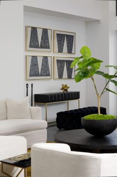 A modern seating area styled with light and dark furniture and a plant for a pop of green colour.