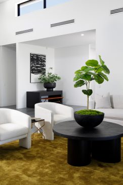 An open light modern sitting area styled with plants and furniture